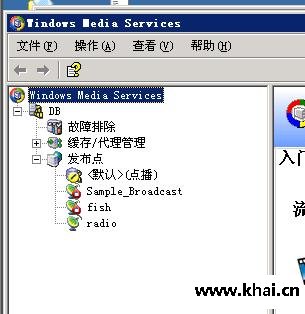 WindowsMediaService�����̨����������̳�